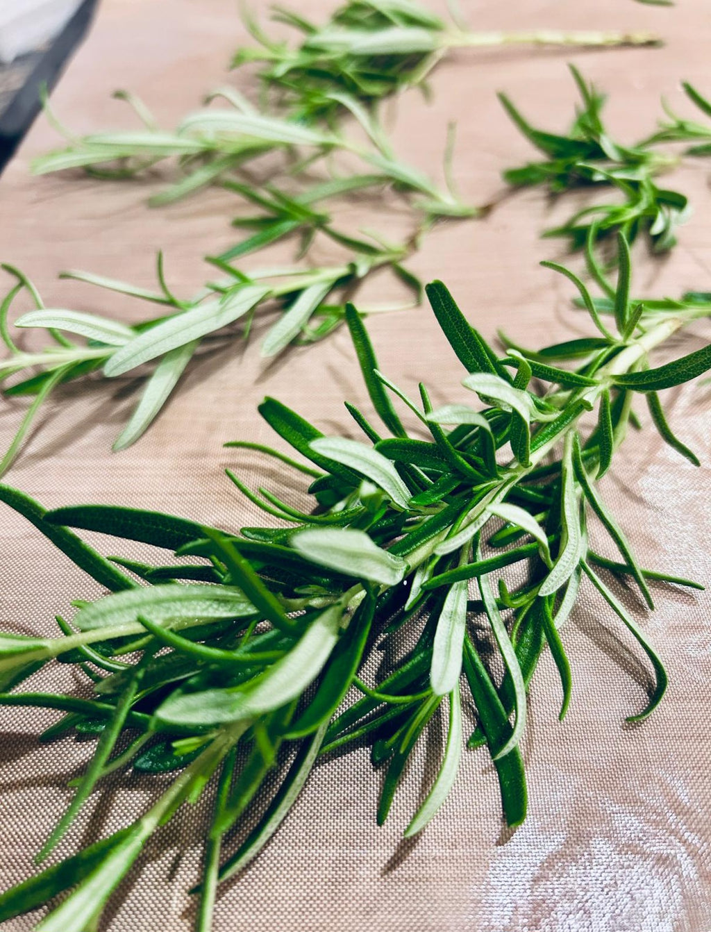 🌿 4oz. Robert's Rosemary Salt