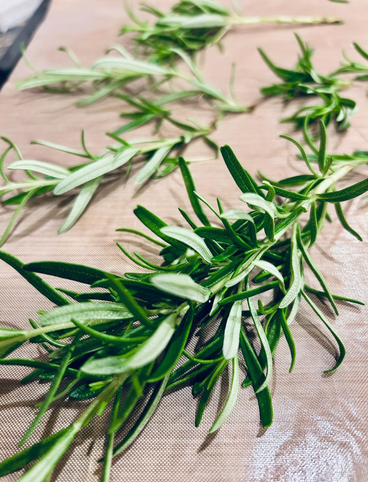 🌿 4oz. Robert's Rosemary Salt
